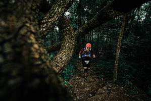 BIB: 
                            <button type="button" onclick="openModal(25694861)" class="btn btn-primary btn-sm float-right btn-popup" data-toggle="modal" data-target=".modal-high-quality">
                        <i class="fas fa-shopping-cart"></i> Add to Cart
                    </button>
                                            <button type="button" onclick="isThisMe(25694861, true)" class="btn btn-success btn-sm float-right btn-popup btn-isme hidden" data-toggle="tooltip" data-placement="bottom" title="นี่คือรูปของคุณใช่ไหม คลิกที่นี่เพื่อเอาเข้าอัลบั้ม">
                        <i class="fas fa-plus"></i> Add to album
                    </button>
                    <button type="button" onclick="isThisMe(25694861, false)" class="btn btn-warning btn-sm float-right btn-popup btn-isnotme hidden">
                        <i class="fas fa-ban"></i> Remove from album
                    </button>